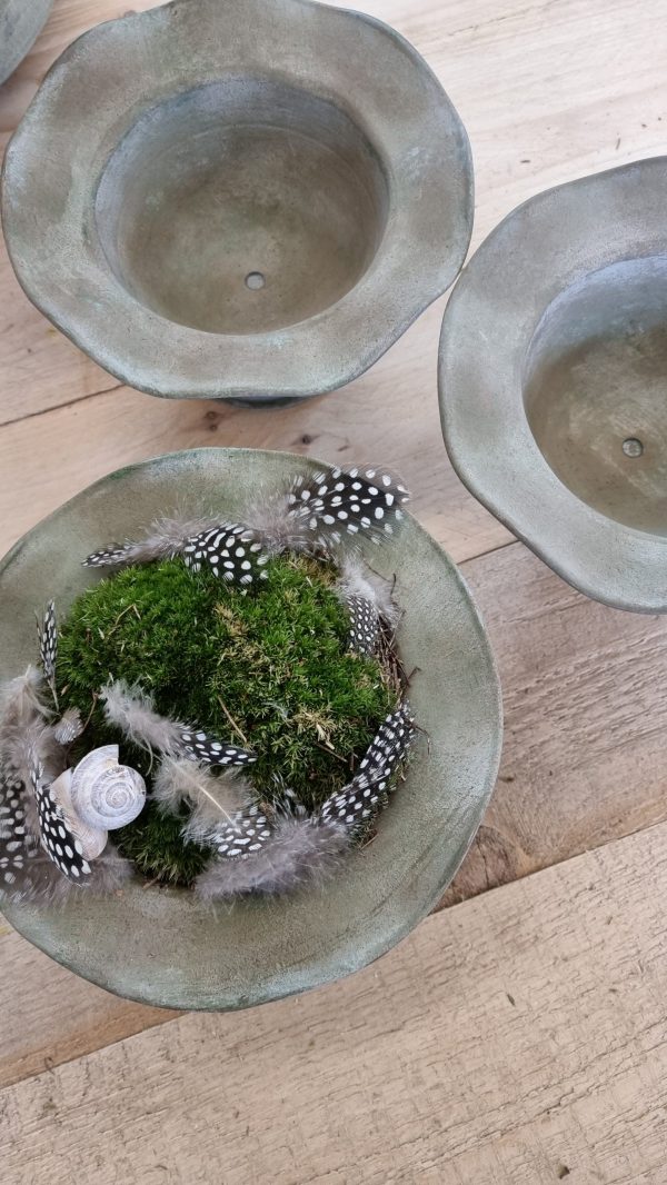 Metallpokal Pokal Pflanztopf Deko Pflanztopf Tischdeko Dekoidee im Mrs Greenery Shop bestellen kaufen