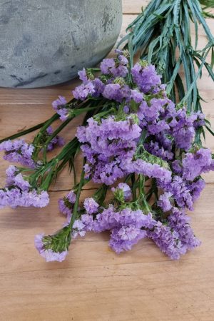 Strandflieder gefüllt Flieder frisch lavendel getrochnet im Mrs Greenery Shop bestellen kaufen