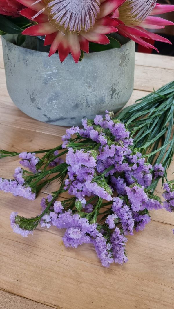 Strandflieder gefüllt Flieder frisch lavendel getrochnet im Mrs Greenery Shop bestellen kaufen