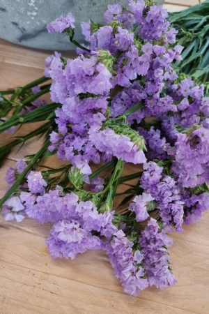Strandflieder gefüllt Flieder frisch lavendel getrochnet im Mrs Greenery Shop bestellen kaufen
