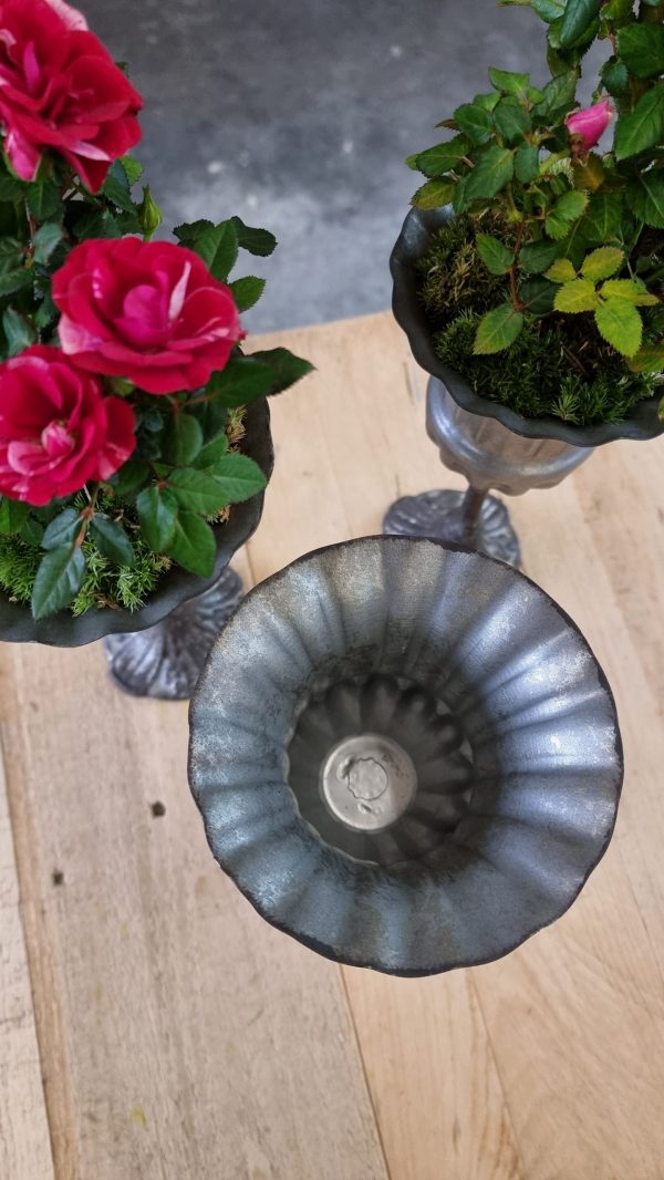 Metallpokal Pokal Pflanztopf eko Tischdeko Dekoidee im Mrs Greenery Shop bestellen kaufen