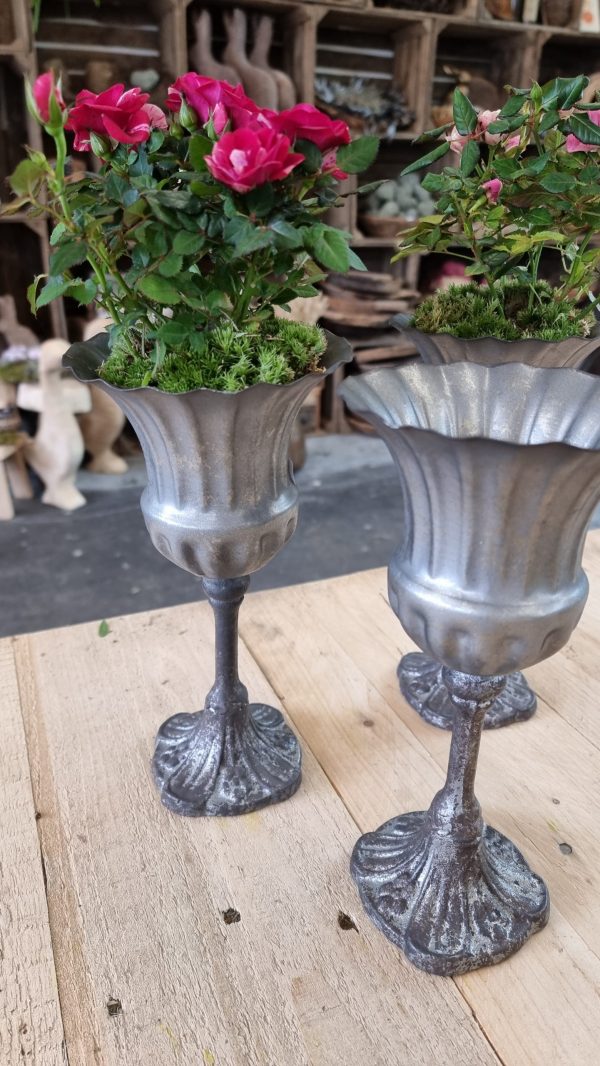 Metallpokal Pokal Pflanztopf eko Tischdeko Dekoidee im Mrs Greenery Shop bestellen kaufen