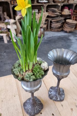 Metallpokal Pokal Pflanztopf eko Tischdeko Dekoidee im Mrs Greenery Shop bestellen kaufen