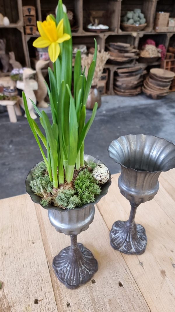 Metallpokal Pokal Pflanztopf eko Tischdeko Dekoidee im Mrs Greenery Shop bestellen kaufen