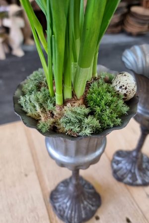 Metallpokal Pokal Pflanztopf eko Tischdeko Dekoidee im Mrs Greenery Shop bestellen kaufen