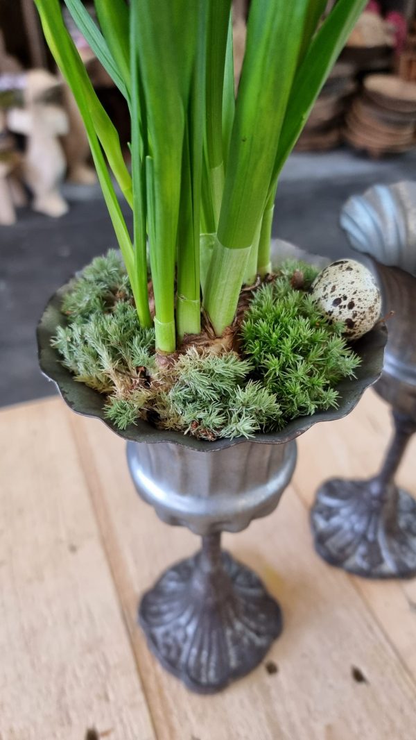 Metallpokal Pokal Pflanztopf eko Tischdeko Dekoidee im Mrs Greenery Shop bestellen kaufen