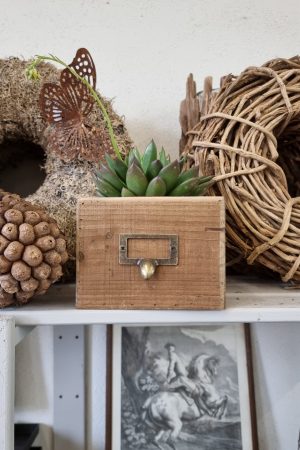 Dekokiste Holzdeko Pflanztopf Deko Tischdeko Dekoidee im Mrs Greenery Shop bestellen kaufen