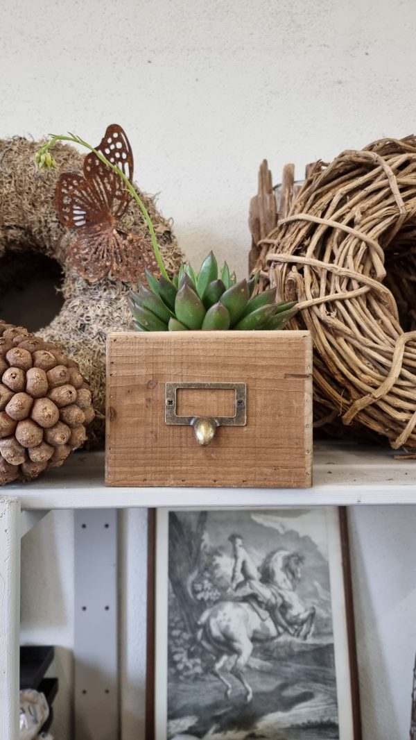 Dekokiste Holzdeko Pflanztopf Deko Tischdeko Dekoidee im Mrs Greenery Shop bestellen kaufen