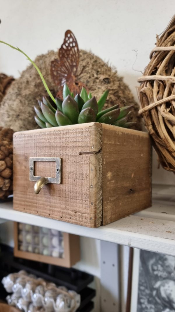 Dekokiste Holzdeko Pflanztopf Deko Tischdeko Dekoidee im Mrs Greenery Shop bestellen kaufen