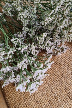 strandflieder wweiß frisch getrocknet im Mrs Greenery Shop bestellen kaufen
