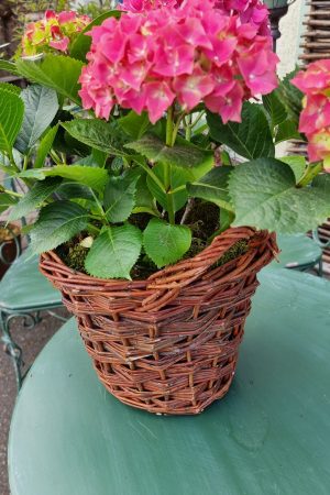 korb übertopf weide rattan dekotopf im mrs greenery shop bestellen kaufen