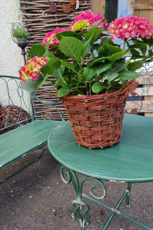 korb übertopf weide rattan dekotopf im mrs greenery shop bestellen kaufen