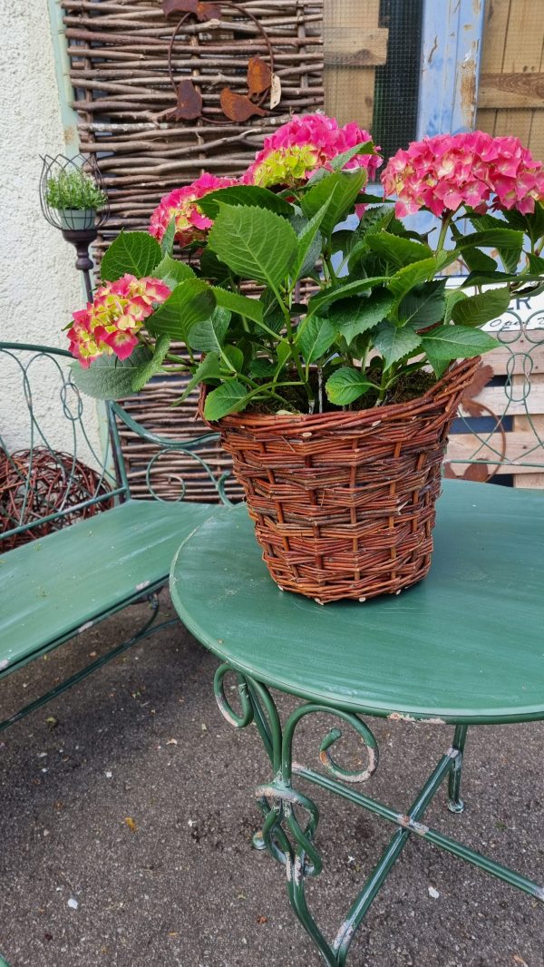 korb übertopf weide rattan dekotopf im mrs greenery shop bestellen kaufen