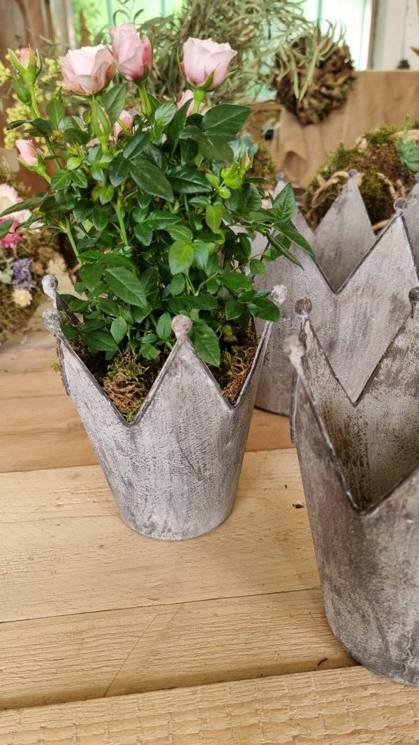krone metallkrone dekokrone übertopf handarbeit im mrs greenery shop bestellen kaufen