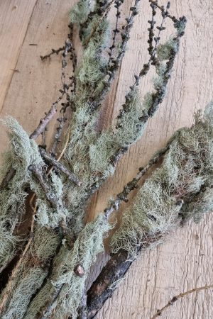 flechten moos zweige äste trockenblumen frisch kranzbinden filigran frisch getrocknet im Mrs Greenery Shop bestellen kaufen