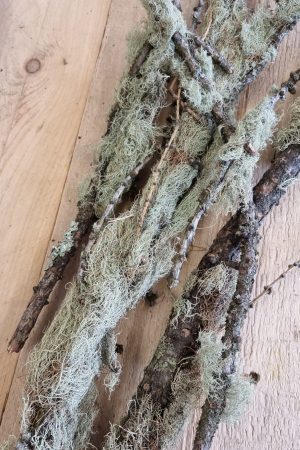 flechten moos zweige äste trockenblumen frisch kranzbinden filigran frisch getrocknet im Mrs Greenery Shop bestellen kaufen