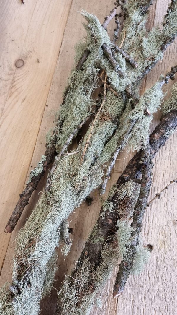 flechten moos zweige äste trockenblumen frisch kranzbinden filigran frisch getrocknet im Mrs Greenery Shop bestellen kaufen