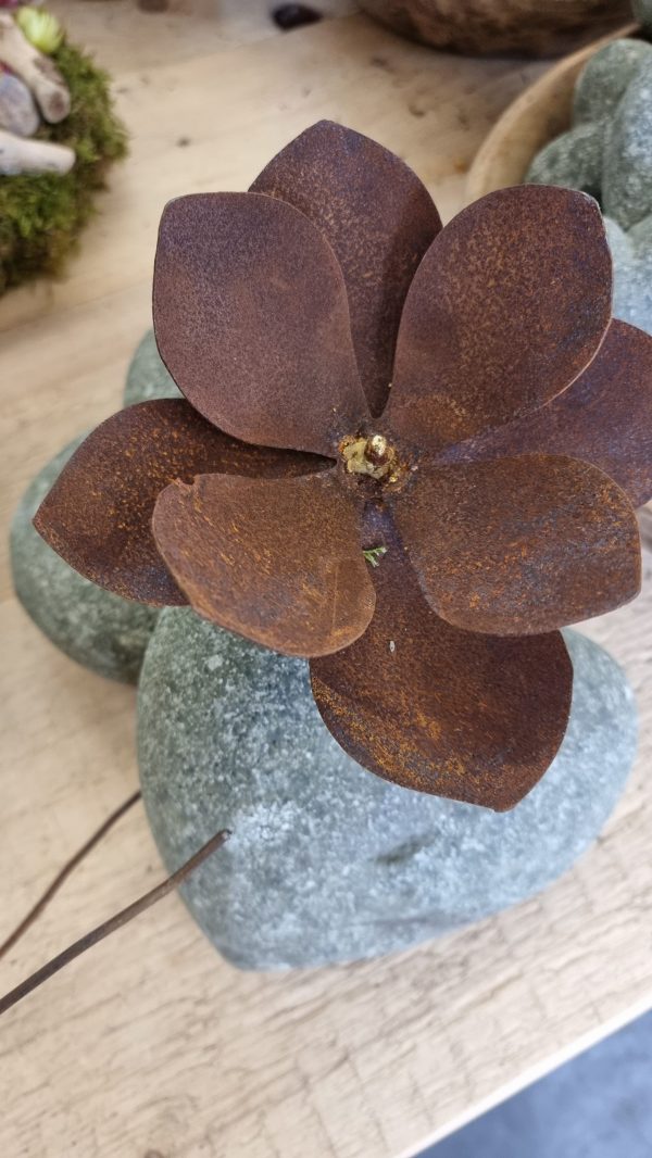 rostblume blume metallblume rostig metalldeko blüte rostblüte dekoblüte metall rost im mrs greenery shop bestellen kaufen