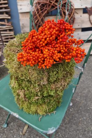 Pfefferbeeren orange pepper berries trockenblumen naturdeko getrocknet im Mrs Greenery Shop bestellen kaufen