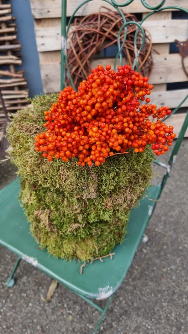 Pfefferbeeren orange pepper berries trockenblumen naturdeko getrocknet im Mrs Greenery Shop bestellen kaufen