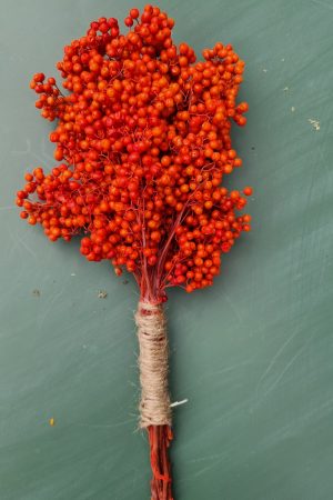 Pfefferbeeren orange pepper berries trockenblumen naturdeko getrocknet im Mrs Greenery Shop bestellen kaufen
