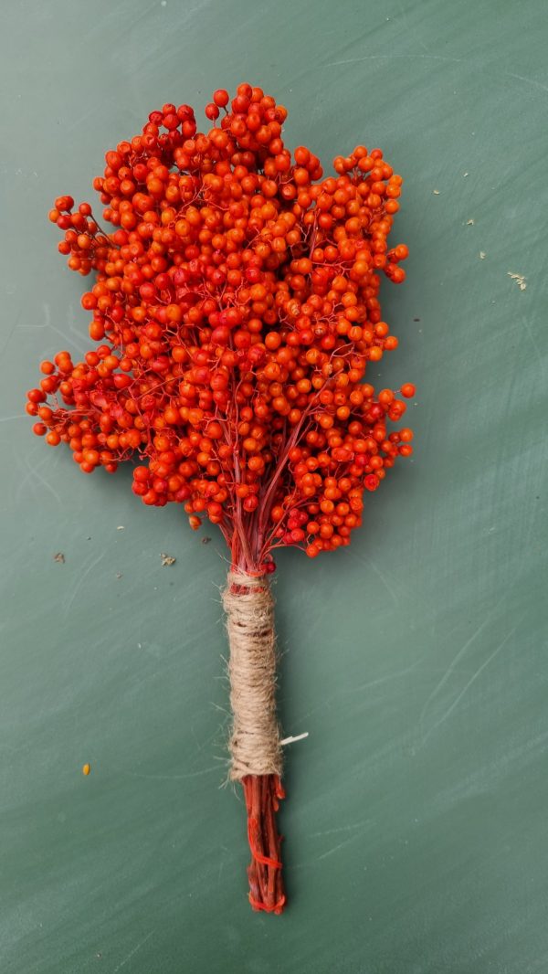 Pfefferbeeren orange pepper berries trockenblumen naturdeko getrocknet im Mrs Greenery Shop bestellen kaufen