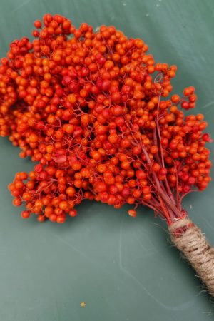Pfefferbeeren orange pepper berries trockenblumen naturdeko getrocknet im Mrs Greenery Shop bestellen kaufen