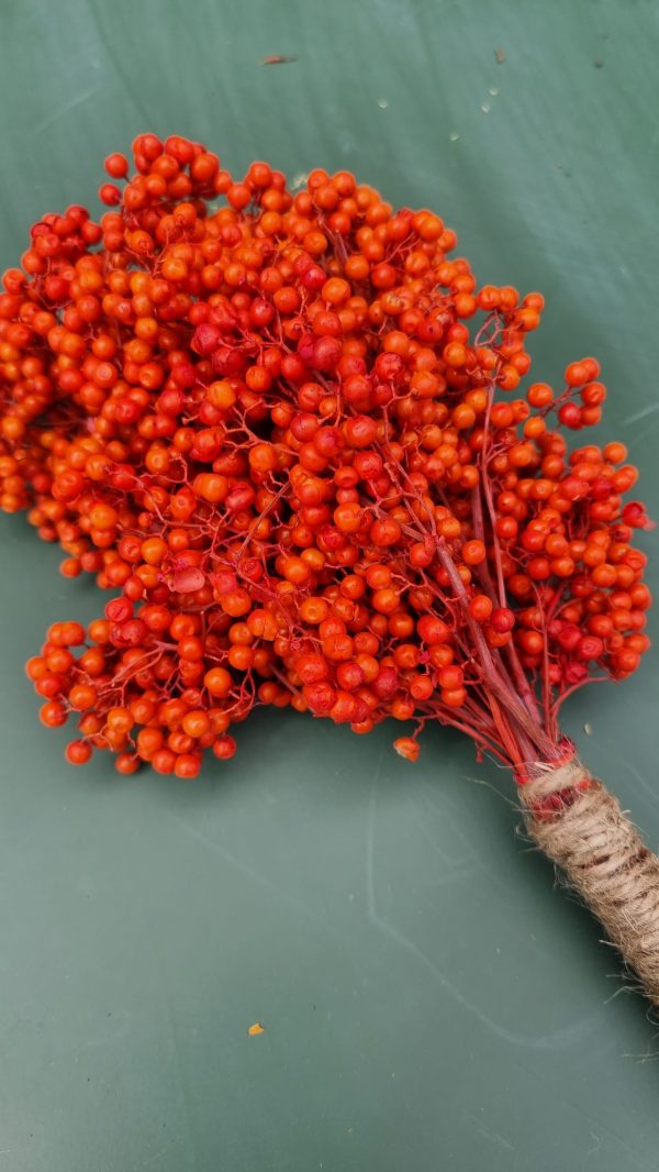 Pfefferbeeren orange pepper berries trockenblumen naturdeko getrocknet im Mrs Greenery Shop bestellen kaufen
