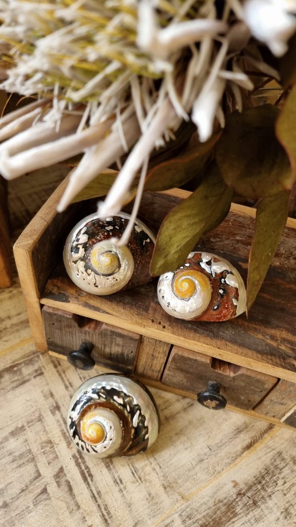 deko schnecke sarmaticus schnecken deko naturdeko im mrs Greenery shop bestellen kaufen