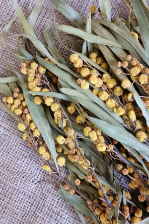 mimose getrocknet trockenblumen gelb trocken sommerdeko deko naturdeko im mrs Greenery shop bestellen kaufen