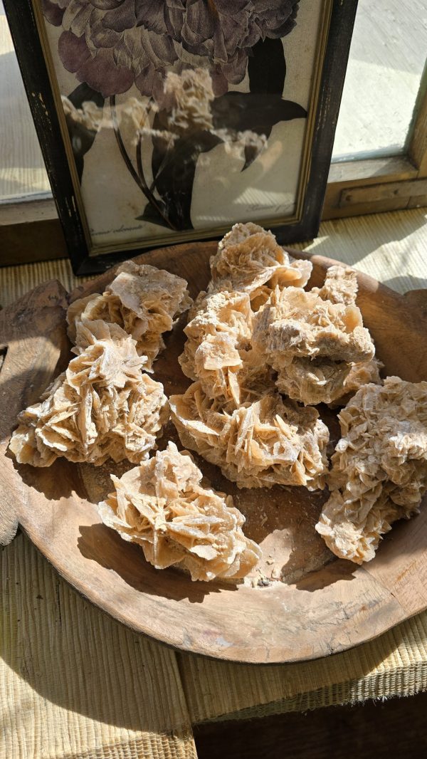 Salzstein Stein Salz Deko Dekoidee mit Naturmaterial Deko Naturdeko Sommerdeko Baddeko im mrs Greenery shop bestellen kaufen