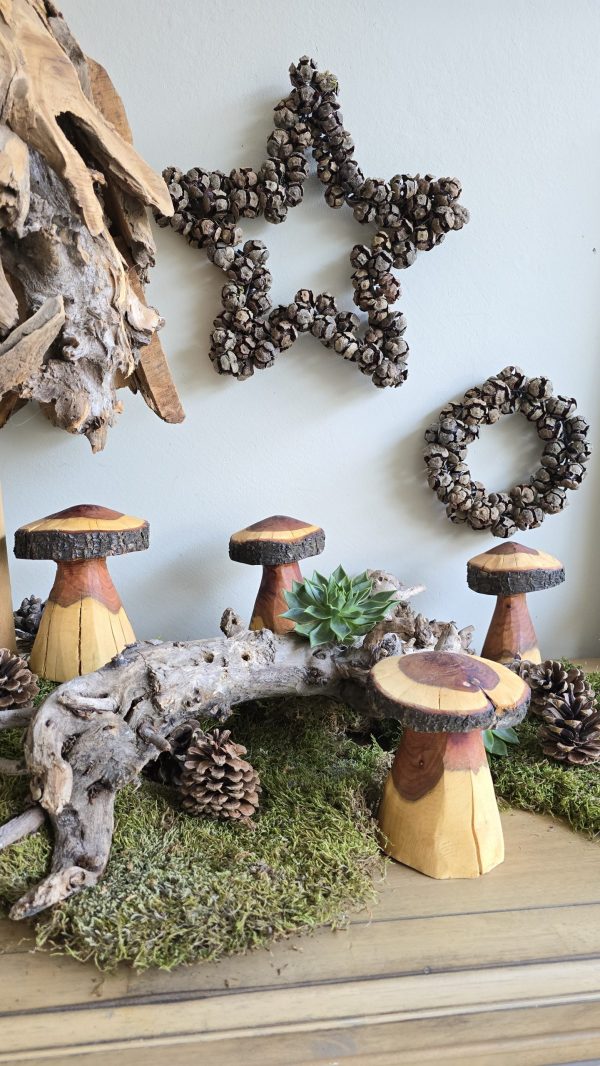 Herbstdeko Naturdeko Herbst Deko Zapfen Pilze Holzpilze handarbeit Holz Holzdeko Kranz Zapfen Beeren Stern im Mrs Greenery Shop bestellen kaufen