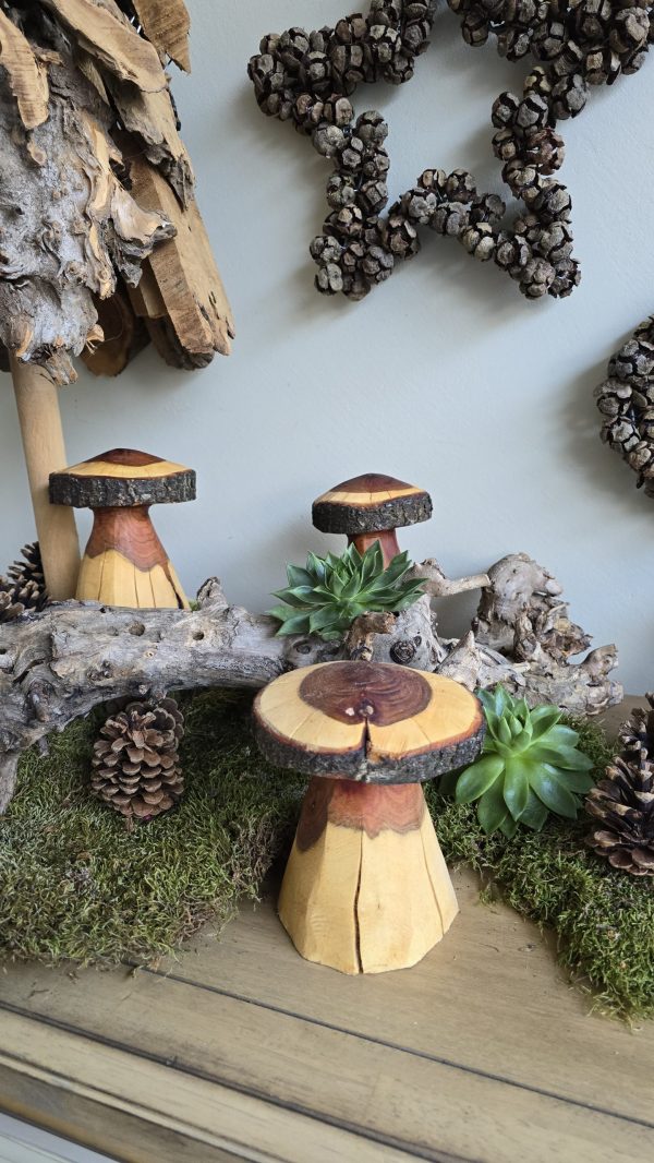 Herbstdeko Naturdeko Herbst Deko Zapfen Pilze Holzpilze handarbeit Holz Holzdeko Kranz Zapfen Beeren Stern im Mrs Greenery Shop bestellen kaufen