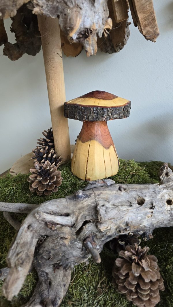 Herbstdeko Naturdeko Herbst Deko Zapfen Pilze Holzpilze handarbeit Holz Holzdeko Kranz Zapfen Beeren Stern im Mrs Greenery Shop bestellen kaufen