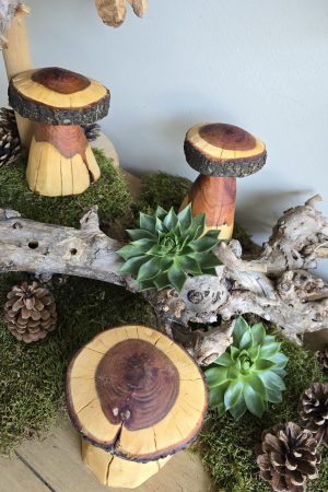 Herbstdeko Naturdeko Herbst Deko Zapfen Pilze Holzpilze handarbeit Holz Holzdeko Kranz Zapfen Beeren Stern im Mrs Greenery Shop bestellen kaufen