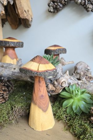 Herbstdeko Naturdeko Herbst Deko Zapfen Pilze Holzpilze handarbeit Holz Holzdeko Kranz Zapfen Beeren Stern im Mrs Greenery Shop bestellen kaufen