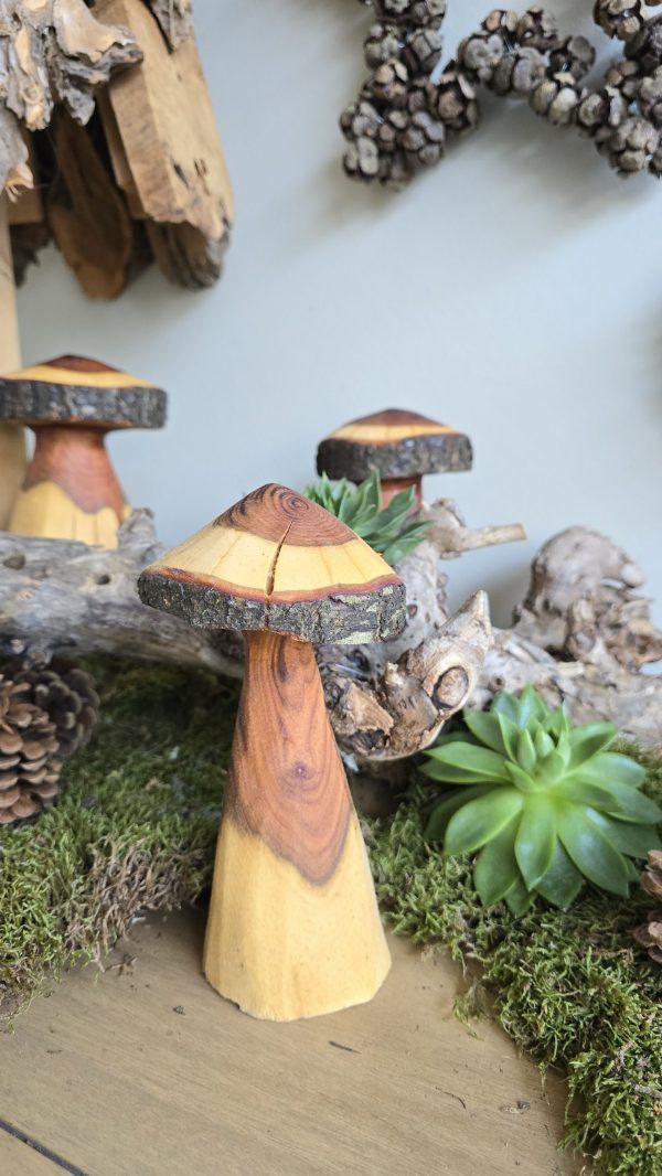 Herbstdeko Naturdeko Herbst Deko Zapfen Pilze Holzpilze handarbeit Holz Holzdeko Kranz Zapfen Beeren Stern im Mrs Greenery Shop bestellen kaufen