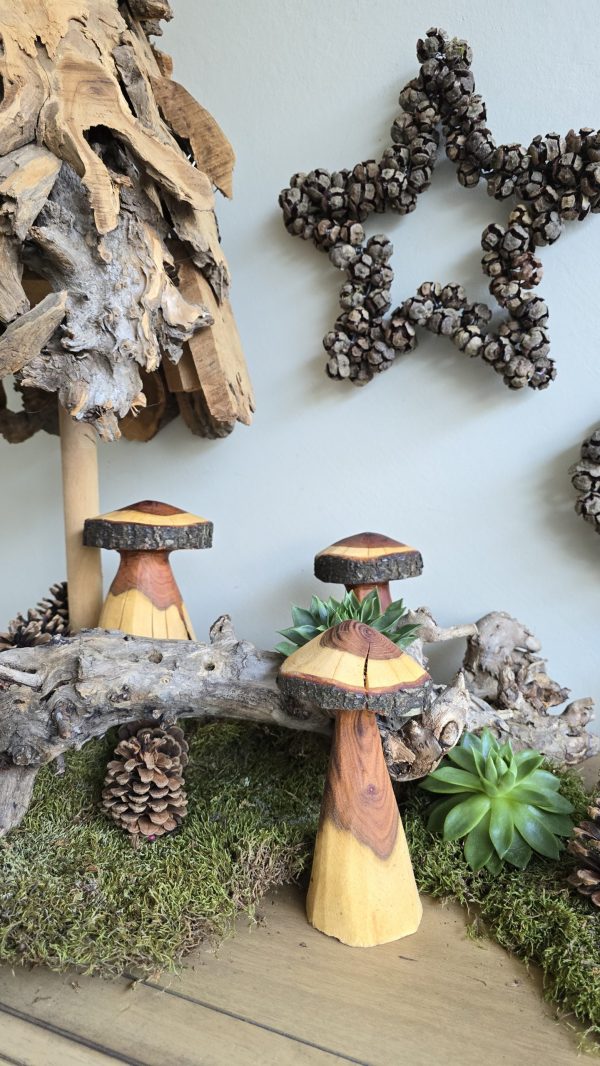 Herbstdeko Naturdeko Herbst Deko Zapfen Pilze Holzpilze handarbeit Holz Holzdeko Kranz Zapfen Beeren Stern im Mrs Greenery Shop bestellen kaufen