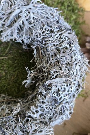 Kranz Kränze Winterkranz flechten zapfen pfefferbeeren im Mrs Greenery Shop bestellen kaufen