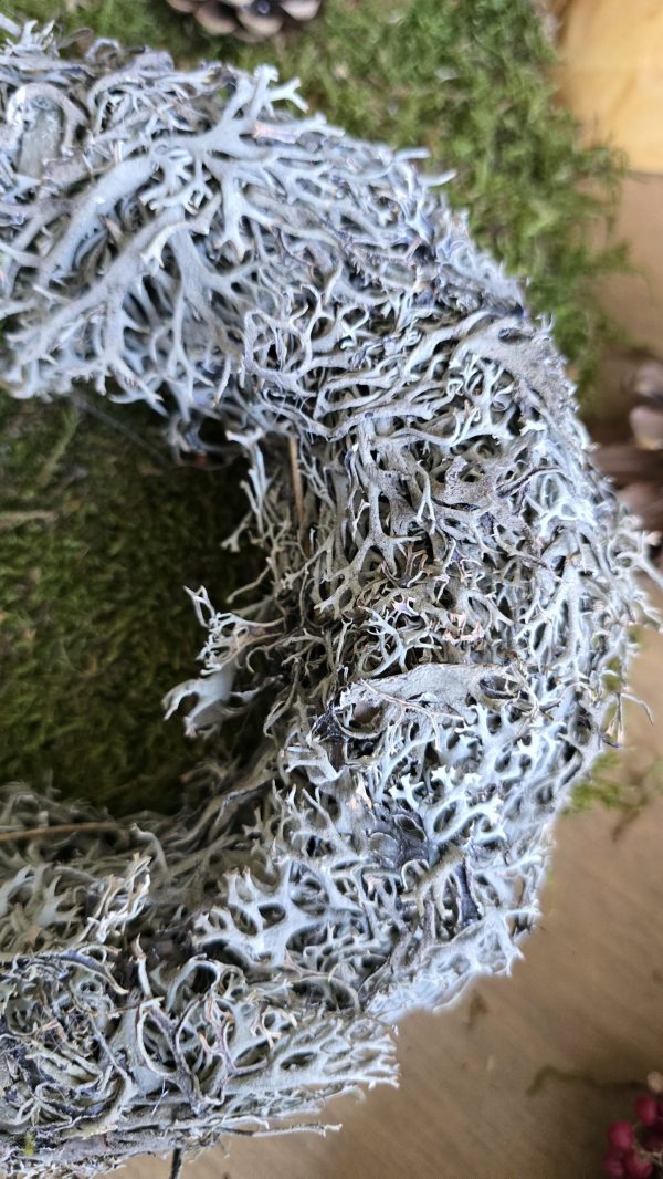 Kranz Kränze Winterkranz flechten zapfen pfefferbeeren im Mrs Greenery Shop bestellen kaufen