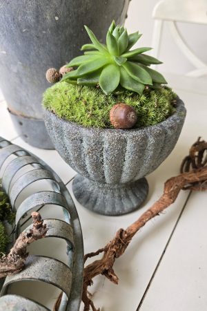 dekotopf uebertpf schale gefäß dekoidee dekoschale im mrs greenery shop bestellen