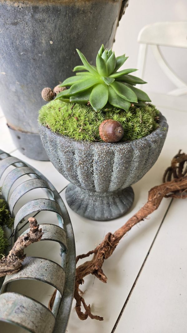 dekotopf uebertpf schale gefäß dekoidee dekoschale im mrs greenery shop bestellen