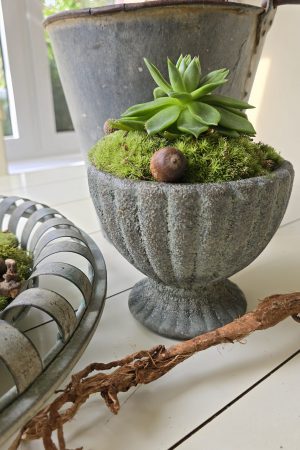 dekotopf uebertpf schale gefäß dekoidee dekoschale im mrs greenery shop bestellen