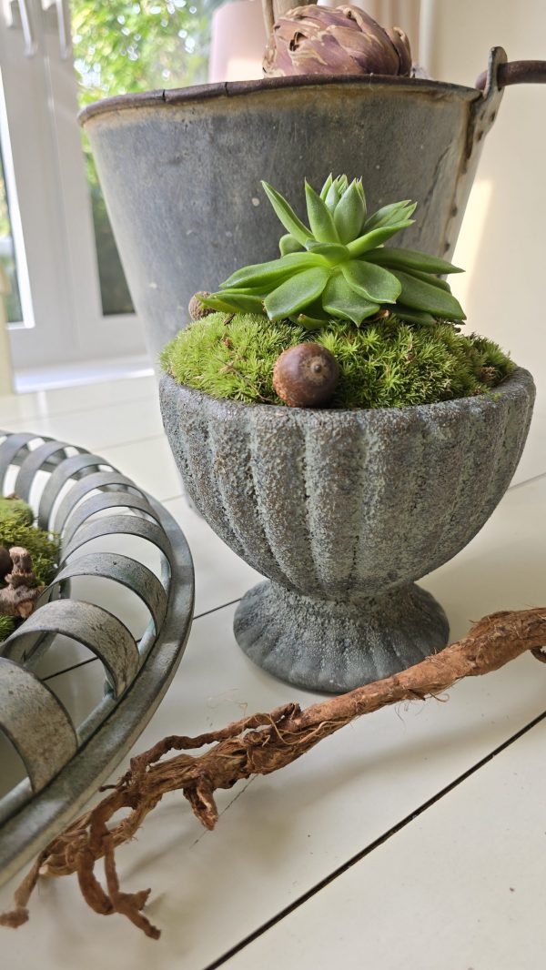 dekotopf uebertpf schale gefäß dekoidee dekoschale im mrs greenery shop bestellen