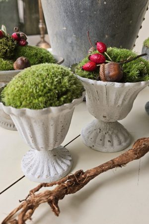 dekotopf uebertpf schale gefäß dekoidee dekoschale im mrs greenery shop bestellen