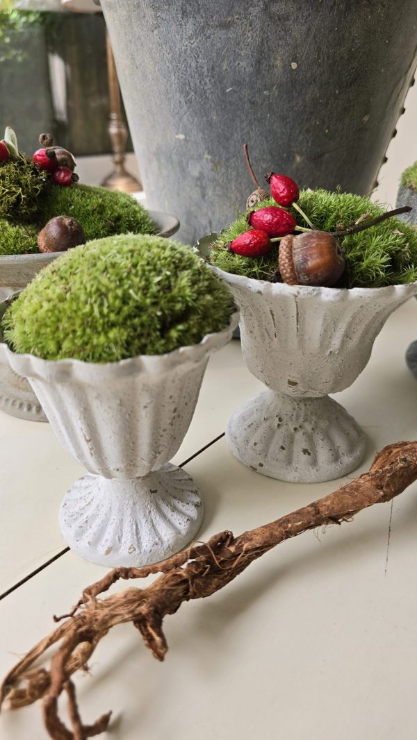 dekotopf uebertpf schale gefäß dekoidee dekoschale im mrs greenery shop bestellen