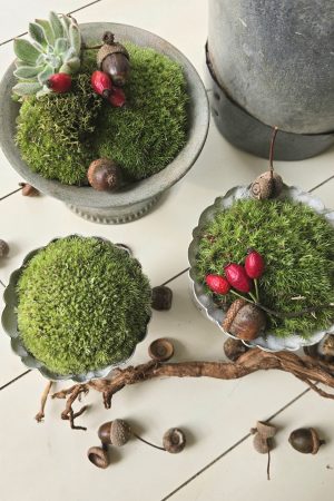 dekotopf uebertpf schale gefäß dekoidee dekoschale im mrs greenery shop bestellen