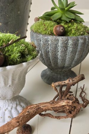 dekotopf uebertpf schale gefäß dekoidee dekoschale im mrs greenery shop bestellen