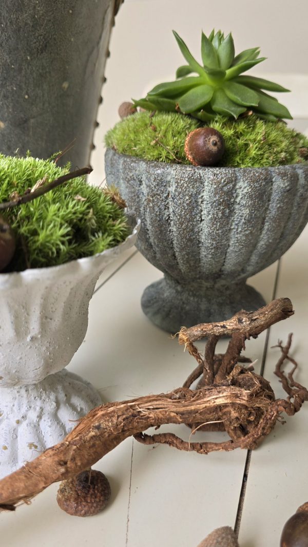 dekotopf uebertpf schale gefäß dekoidee dekoschale im mrs greenery shop bestellen