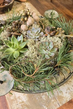 Adventskranz Adventsdeko Adventsschale Adventstablett Adventsschale Mrs Greenery kaufen bestellen Shop